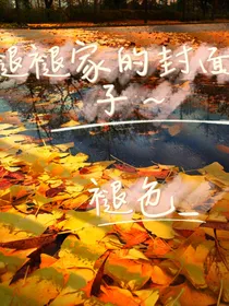 褪褪家的封面铺子