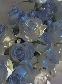假如清秋遇到的是冰哥