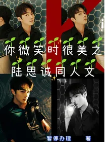你微笑时很美之陆思诚同人文