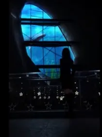 蓝海之韵