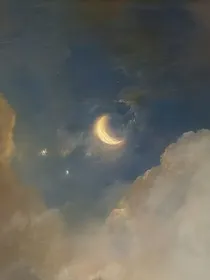 TNT：沿栀