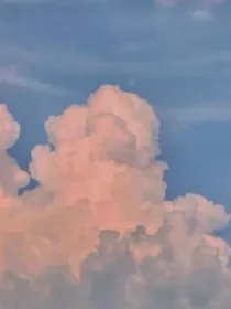 大佬她又在惊艳全场