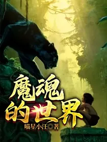 魔魂的世界（番外）