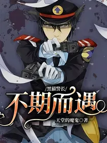 黑猫警长：不期而遇