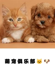 萌宠俱乐部