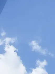 娇妻休要逃