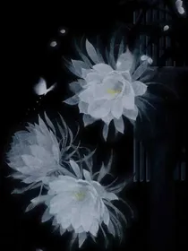 当师尊师兄拿错剧本