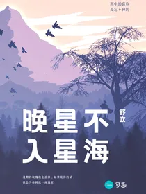 晚星不入星海
