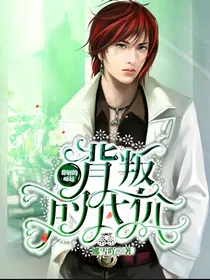 背叛的代价：赘婿的崛起