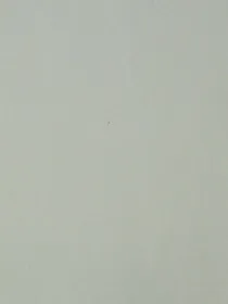 巫师和预言家逼疯了诉说者—无限流