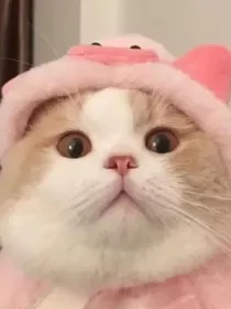 综穿影视之归途依旧