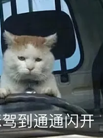 戏婉饭
