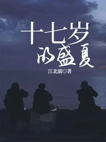 十七岁的盛夏