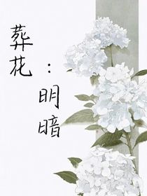 葬花：明暗