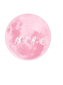 掳走月光