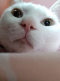 口水妹要抱抱