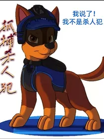 汪汪队：抓捕杀人犯