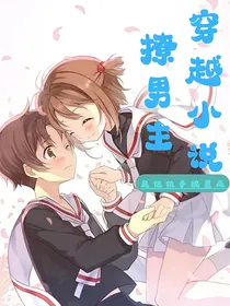 穿越小说撩男主