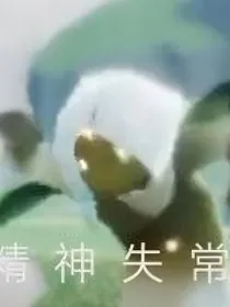 关于一个码字娘的演化过程