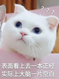 巴拉巴拉巴拉巴拉巴拉