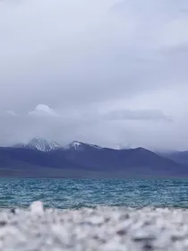 红楼之这个黛玉不一样