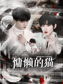 TNT：慵懒的猫