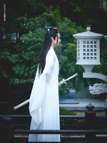 陈情令：两只忘羡