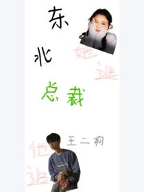 东北总裁王二狗