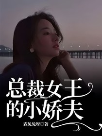 总裁女王的小娇夫