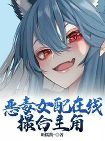 恶毒女配在线撮合主角