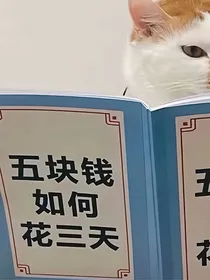 逗魄苍穷