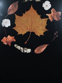 落雨如尘