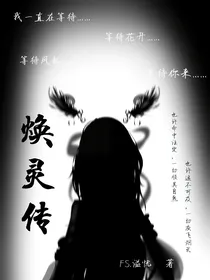 焕灵传