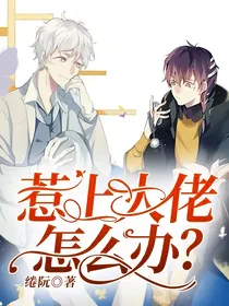 惹上大佬怎么办？