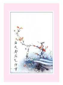 每天都在气师尊
