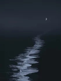 泽轩：雾行