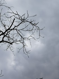 我在时光里的幻想