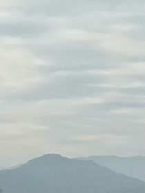 ……表白……