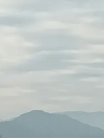……表白……