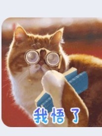 冰果酱日常