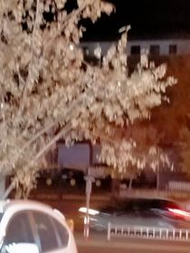糖水杂货铺