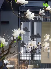快穿魔道之咸鱼改命