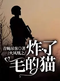 火凤凰之炸了毛的猫
