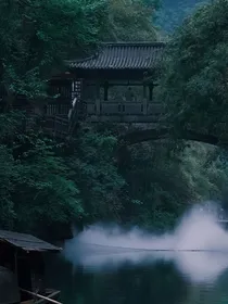 落青衫