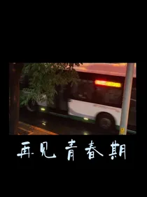 再见我的青春期