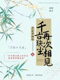 千古玦尘：再次相见