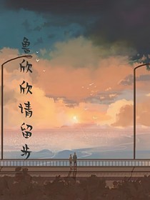 鲁欣欣请留步