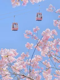 斗龙战士之幽兰幻梦