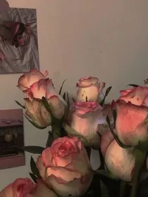 昀倾语录