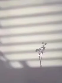 如果有后悔药，我想多爱自己一点